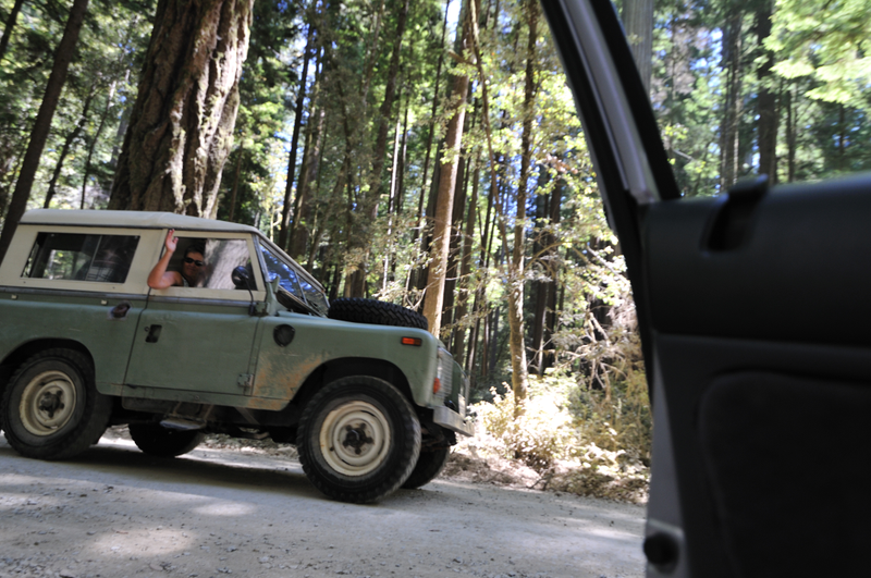 You’d be this happy too, if you were driving a Land Rover Defender through the redwoods like these people were!